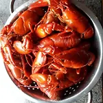 홀리데이파크 Kujanpaeae | Paajoen Vuokramoekit