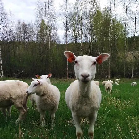 Kujanpaeae | Paajoen Vuokramoekit منتزه العطل 5*