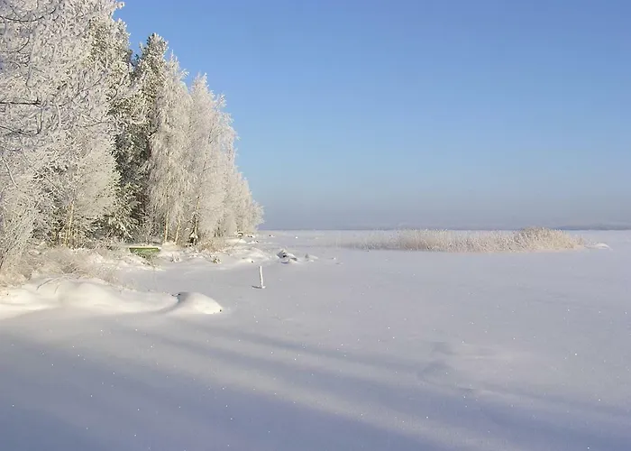 ホリデーパーク Kujanpaeae | Paajoen Vuokramoekit Himos