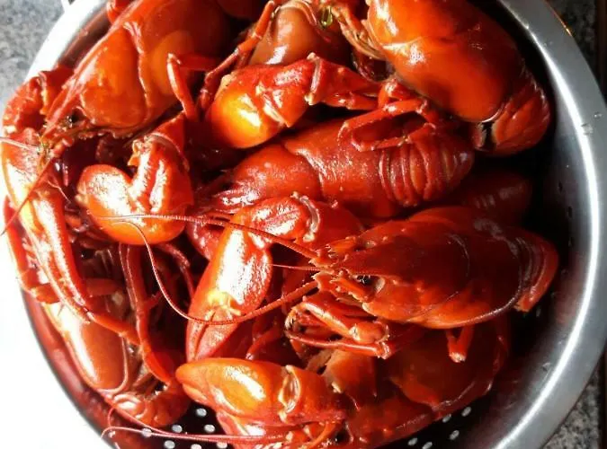 ホリデーパーク Kujanpaeae | Paajoen Vuokramoekit