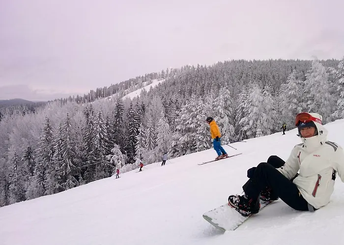 Kujanpaeae | Paajoen Vuokramoekit ホリデーパーク Himos